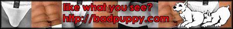 Badpuppy.com